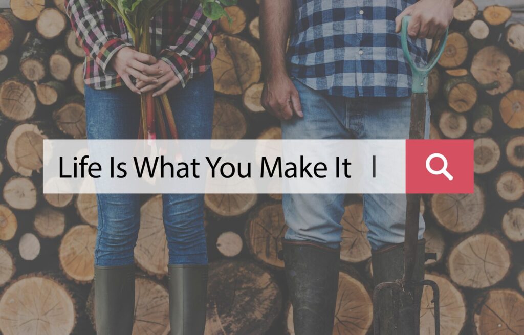 Shopify’s Latest Free Themes: Horizon, Savor, and Dwell – What You Need to Know