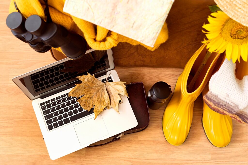 Top Shopify Themes of 2025: Ella, Wokiee, and Kalles